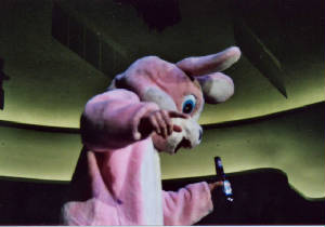 drunkbunny.jpg